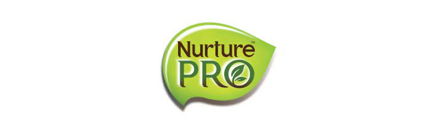 Nurture Pro 天然密碼 功能主食貓罐頭